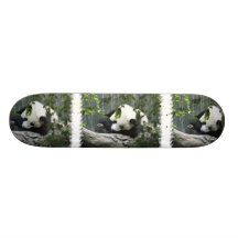 Panda Bear Skateboard