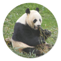 Panda Bear stickers