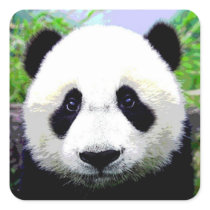 Panda Bear Square Sticker