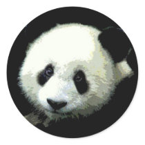 Panda Bear Stickers
