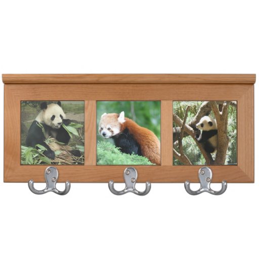 Panda Bear Three Hook Wooden Coat Rack Zazzle