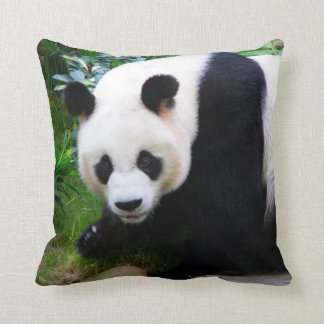 Panda Bear Pillows - Decorative & Throw Pillows Zazzle