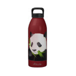 Panda Bear Water Bottle