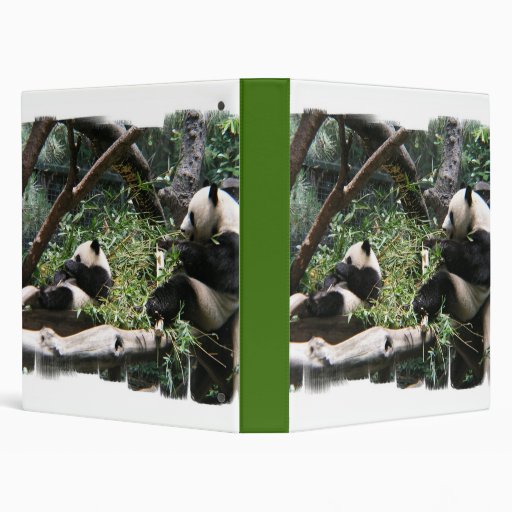 Panda Bears Binder