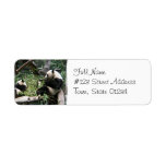 Panda Bears Mailing Label