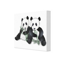 Panda Bears on Wrapped Canvas Art Gallery Wrap Canvas