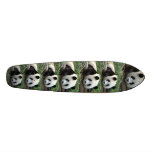 PANDA BEARS SKATEBOARD DECKS