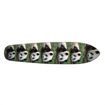 PANDA BEARS SKATEBOARD DECKS