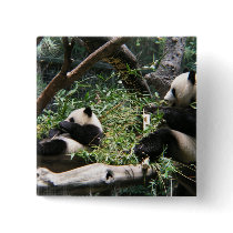 Panda Bears Square Pin