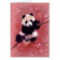 Panda Blossom cards