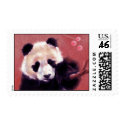 Panda Blossom (horizontal) postage