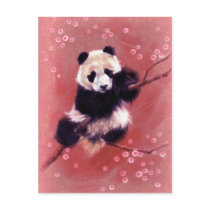 Panda Blossom postcards by ChrisWahl Panda Blossom postcards