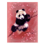 Panda Blossom Postcards