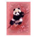 Panda Blossom posters