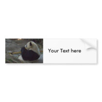 panda bumper stickers by pbkooistra panda bumper stickers