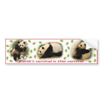 Panda bumper stickers bumper stickers
