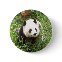 Panda buttons
