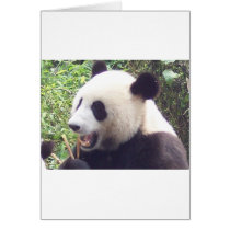 Panda Cards