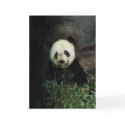 Panda card