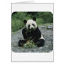 Panda Greeting Cards