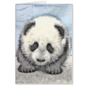Panda Card