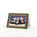 PANDA CHRISTMAS cards