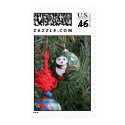 Panda Christmas postage