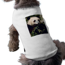 Panda Close-Up pet clothing by alternateworlds Panda Close-Up pet clothing