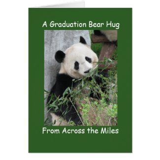 Panda Congratulations Bear Hug Across the Miles Greeting Card