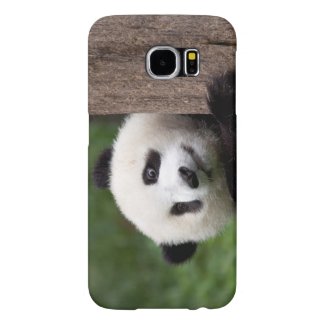 Panda cub phone case samsung galaxy s6 cases
