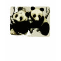 PANDA CUBS t-shirts