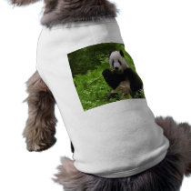 Panda Dog Clothing