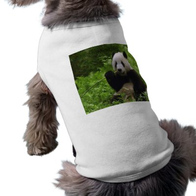 Panda pet clothing