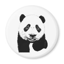 Panda drawing (multiple products selected) refrigerator magnets