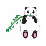 panda, panda bear, bear, animal, panda eating bamboo, panda eating, pandas, bears, panda bears, animals, pandas eating bamboo, pandas eating, bamboo, panda bear eating bamboo, panda bears eating bamboo, panda bears eating