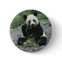 Panda Eating Pins