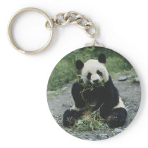 Panda Eating Keychains