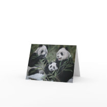 Panda Family Cards