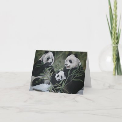 family panda