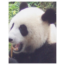 Panda Custom Flyer