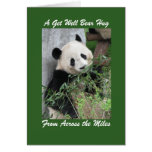 Panda Get Well Bear Hug Across the Miles Card