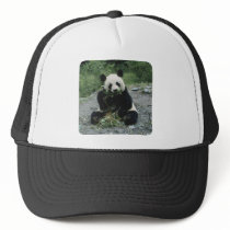 Panda Trucker Hats