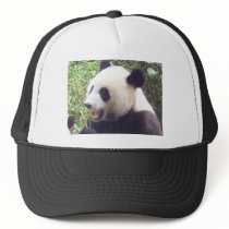 Panda hats by KevOzDotCom Panda hats