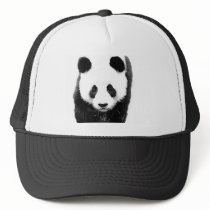 Panda Mesh Hats