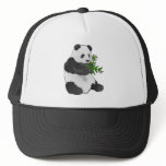 Panda hats