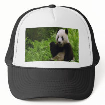 Panda Mesh Hat