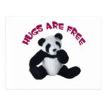 Panda hug postcard