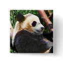 Panda in Tree button