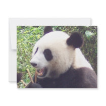 Panda invitations by KevOzDotCom Panda invitations
