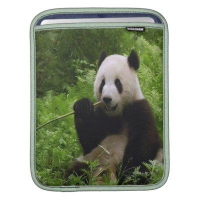 Panda iPad Sleeve